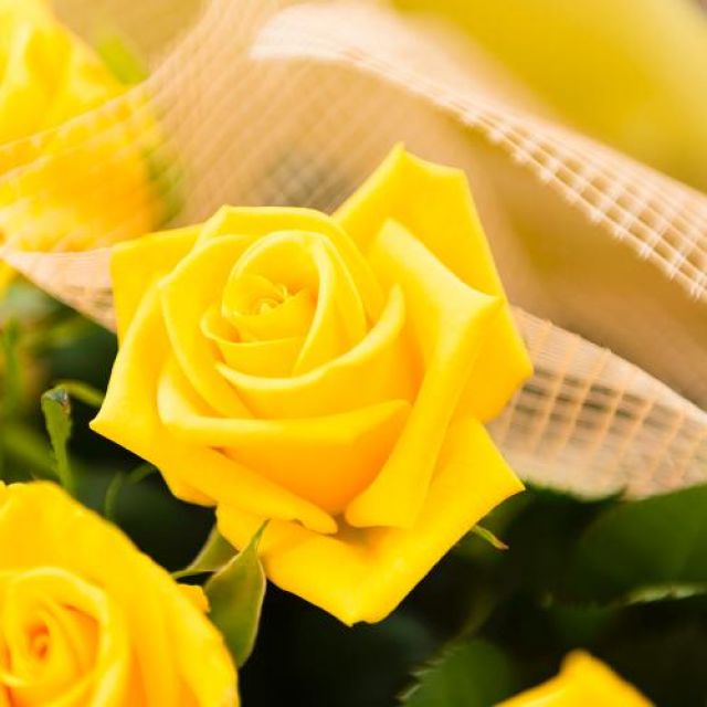 黄色いバラの花束 有限会社 タケダ花店